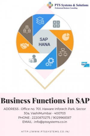 The Secret Of Business Functions In Sap